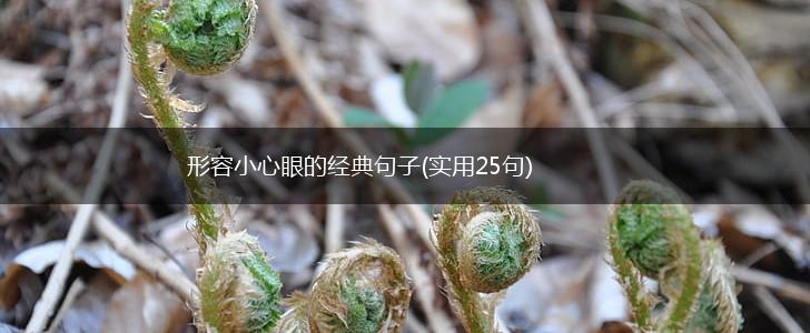 形容小心眼的经典句子(实用25句),第1张