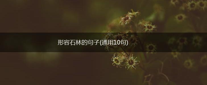 形容石林的句子(通用10句),第1张
