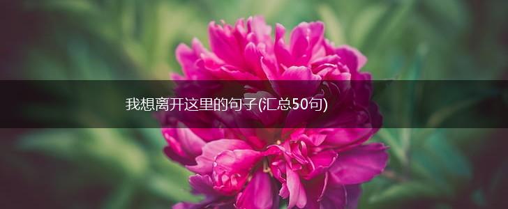 我想离开这里的句子(汇总50句),第1张