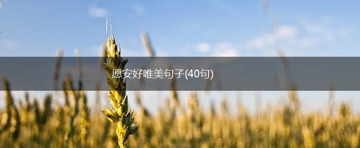 愿安好唯美句子(40句),第1张