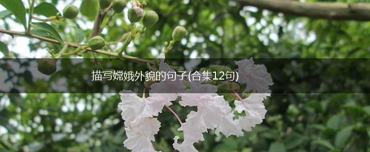 描写嫦娥外貌的句子(合集12句),第1张