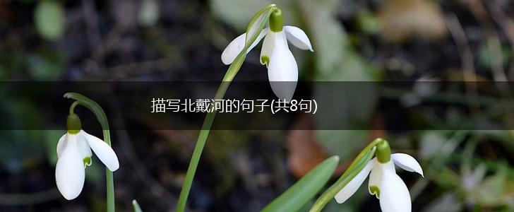 描写北戴河的句子(共8句),第1张