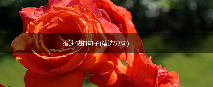 很遗憾的句子(精选57句),第1张