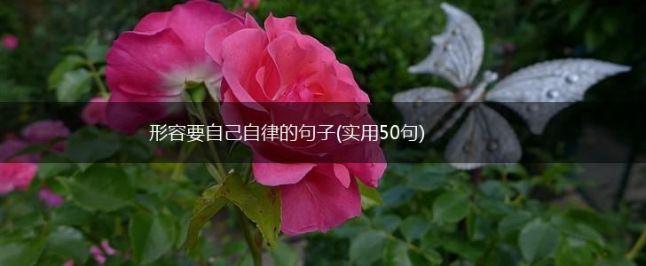 形容要自己自律的句子(实用50句),第1张