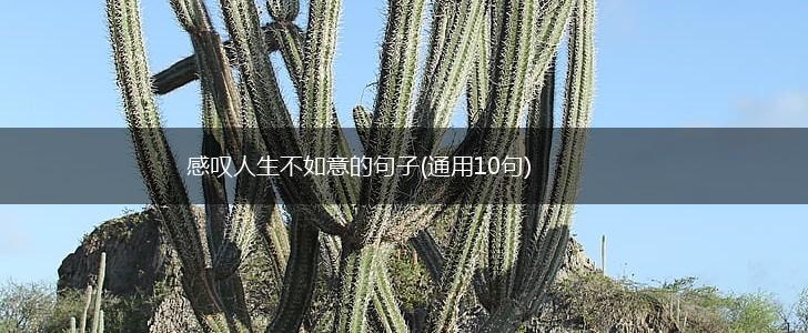 感叹人生不如意的句子(通用10句),第1张