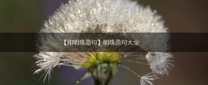 【用明珠造句】明珠造句大全,第1张