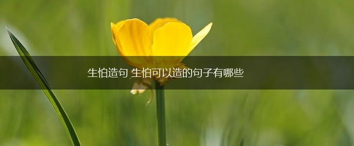 生怕造句 生怕可以造的句子有哪些,第1张