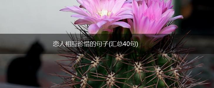 恋人相互珍惜的句子(汇总40句),第1张
