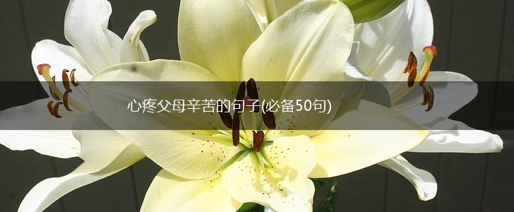 心疼父母辛苦的句子(必备50句),第1张