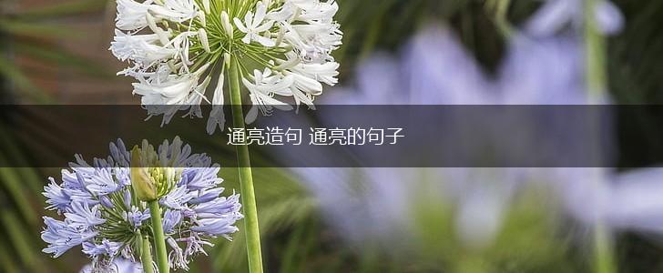通亮造句 通亮的句子,第1张