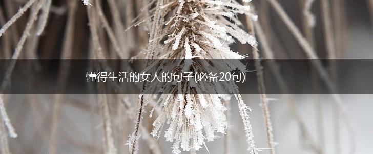 懂得生活的女人的句子(必备20句),第1张
