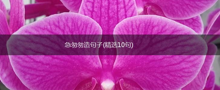 急匆匆造句子(精选10句),第1张
