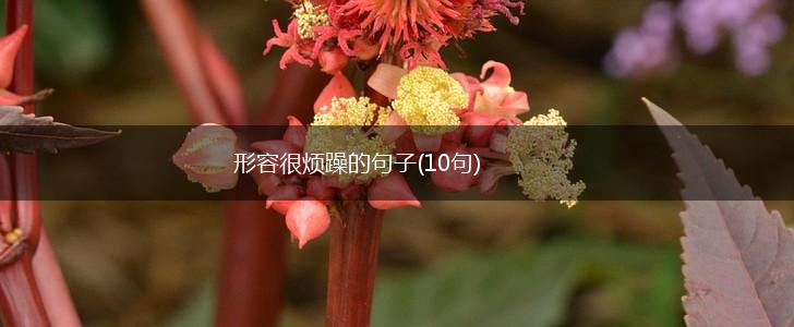 形容很烦躁的句子(10句),第1张
