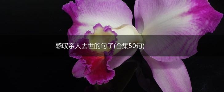 感叹亲人去世的句子(合集50句),第1张