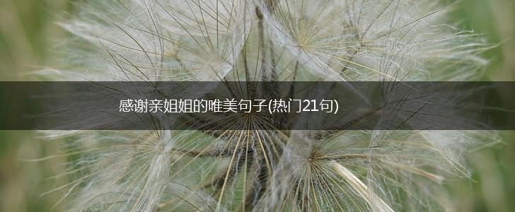 感谢亲姐姐的唯美句子(热门21句),第1张