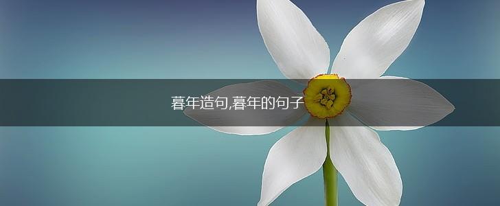 暮年造句,暮年的句子,第1张