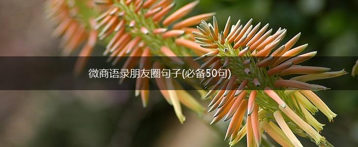 微商语录朋友圈句子(必备50句),第1张