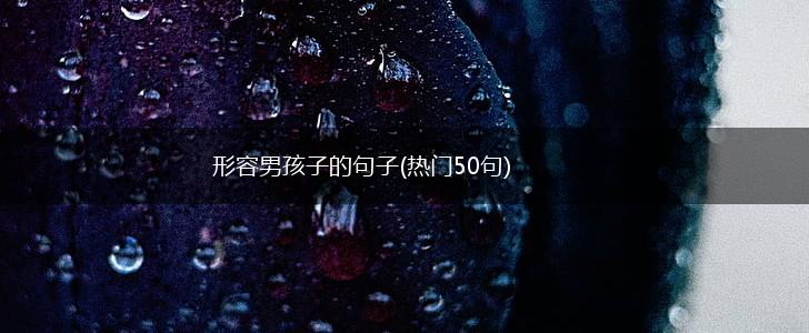 形容男孩子的句子(热门50句),第1张