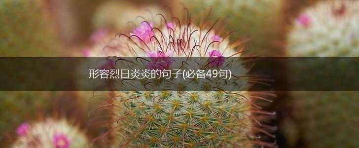 形容烈日炎炎的句子(必备49句),第1张