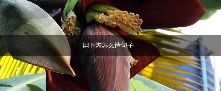 用下沟怎么造句子,第1张