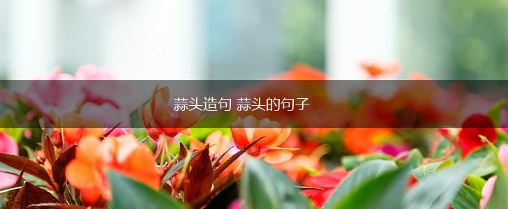 蒜头造句 蒜头的句子,第1张