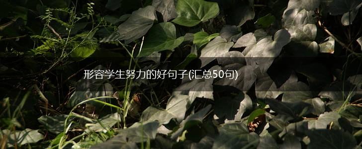 形容学生努力的好句子(汇总50句),第1张