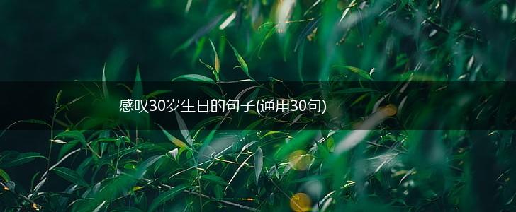 感叹30岁生日的句子(通用30句),第1张