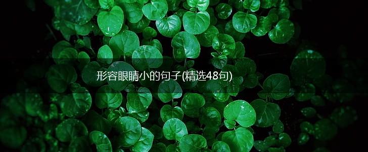 形容眼睛小的句子(精选48句),第1张