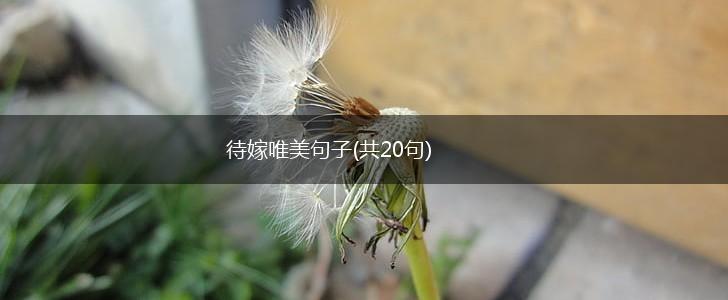 待嫁唯美句子(共20句),第1张