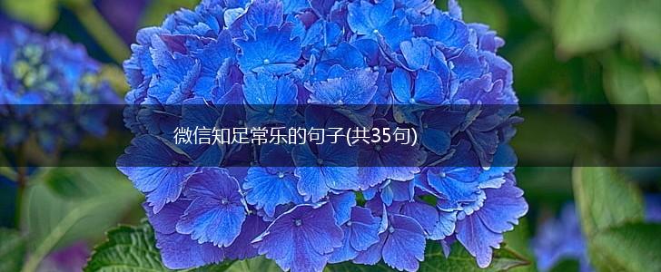 微信知足常乐的句子(共35句),第1张