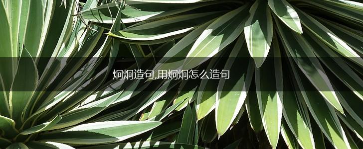 炯炯造句,用炯炯怎么造句,第1张