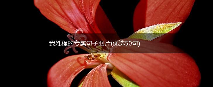 我姓程的专属句子图片(优选50句),第1张