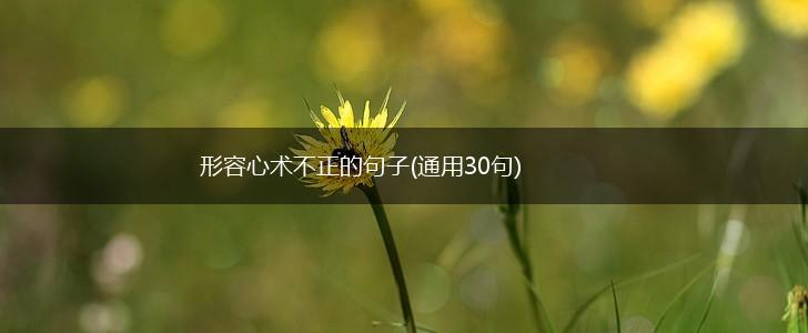 形容心术不正的句子(通用30句),第1张