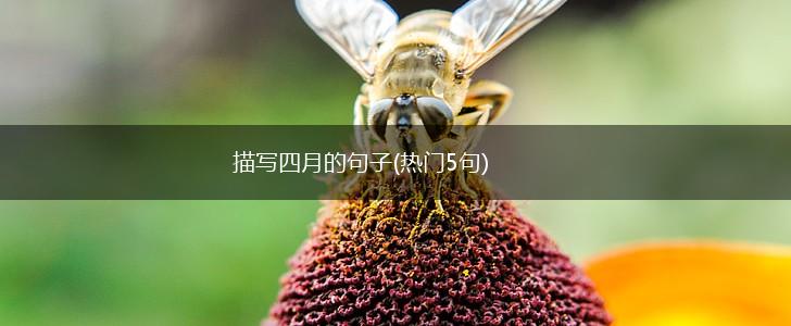 描写四月的句子(热门5句),第1张