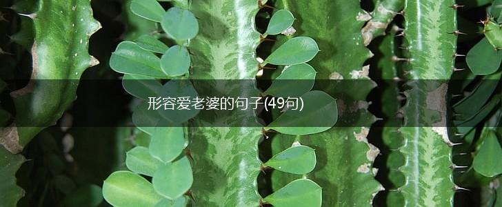 形容爱老婆的句子(49句),第1张