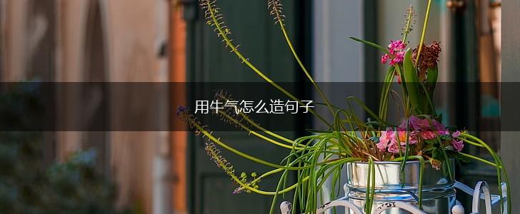 用牛气怎么造句子,第1张