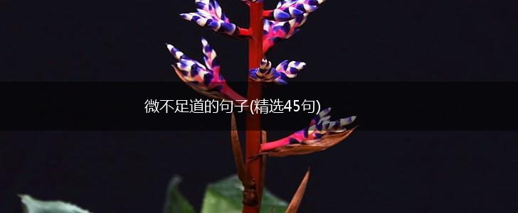 微不足道的句子(精选45句),第1张