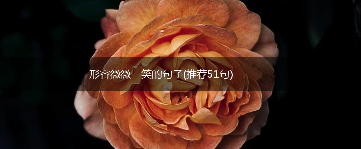 形容微微一笑的句子(推荐51句),第1张