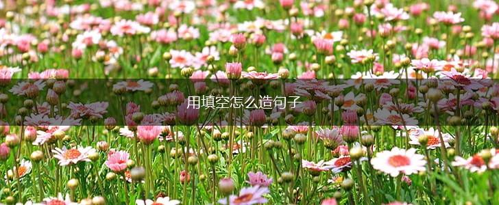 用填空怎么造句子,第1张