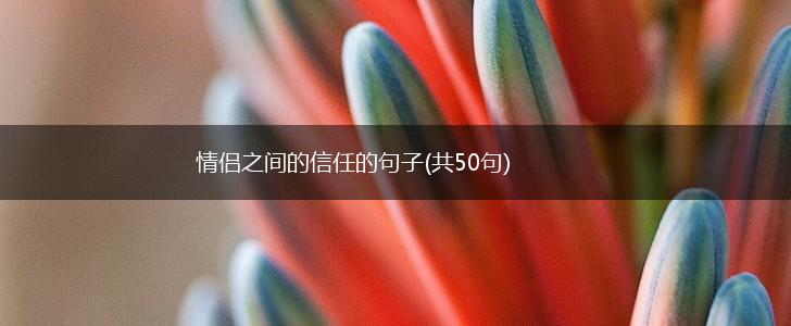 情侣之间的信任的句子(共50句),第1张