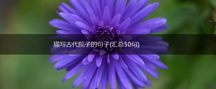 描写古代院子的句子(汇总50句),第1张