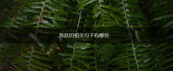 鱼跃的相关句子有哪些,第1张
