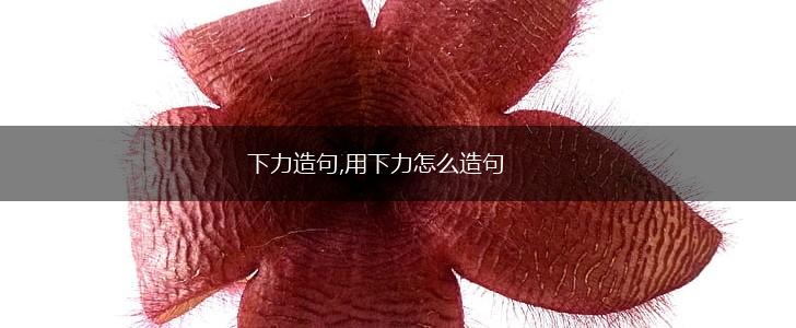 下力造句,用下力怎么造句,第1张
