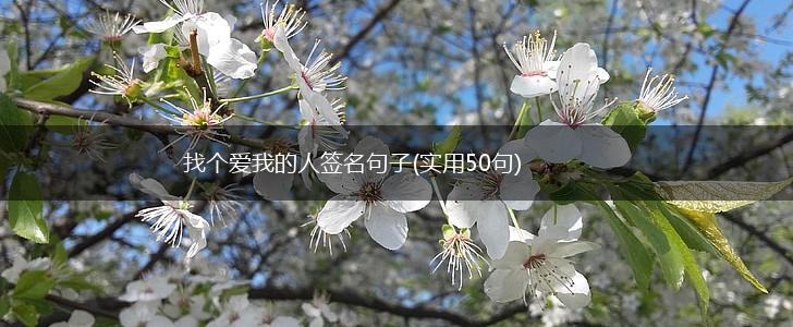 找个爱我的人签名句子(实用50句),第1张