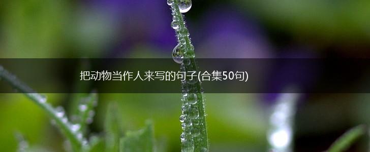 把动物当作人来写的句子(合集50句),第1张