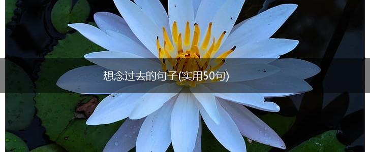 想念过去的句子(实用50句),第1张