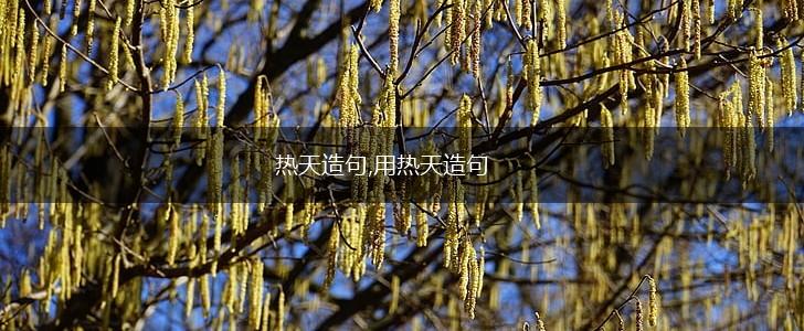 热天造句,用热天造句,第1张