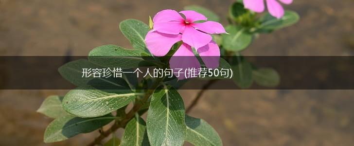 形容珍惜一个人的句子(推荐50句),第1张