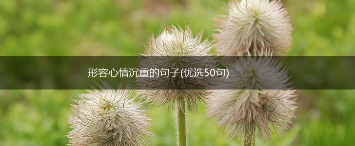 形容心情沉重的句子(优选50句),第1张