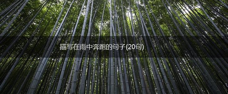 描写在雨中奔跑的句子(20句),第1张